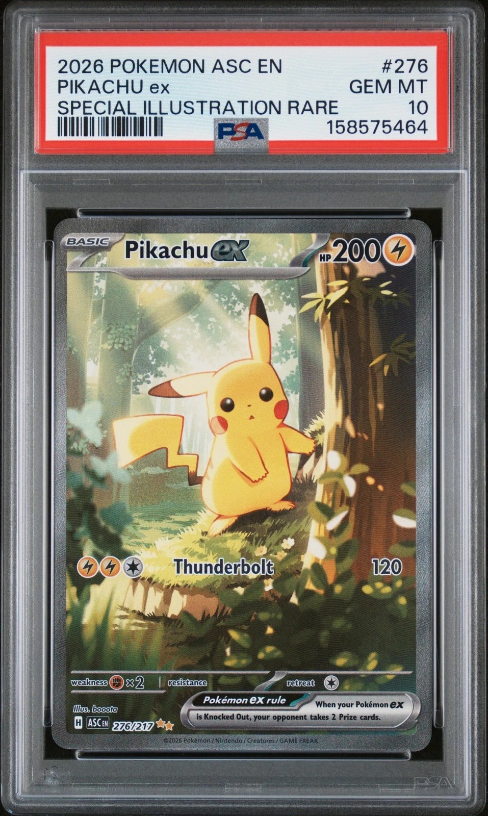 Pikachu ex